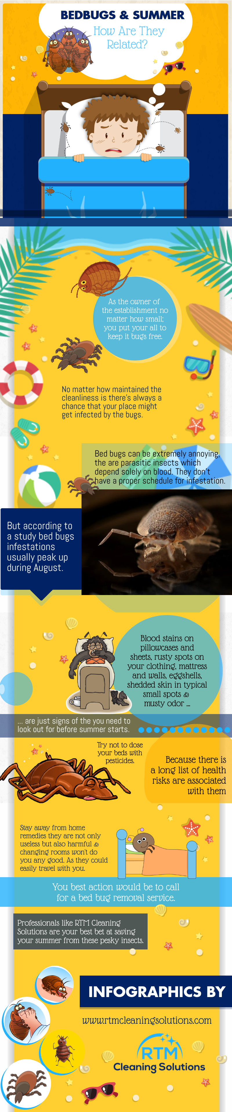 Infographic showing bed bug removal edmonton